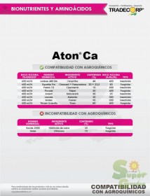 aton_ca_2