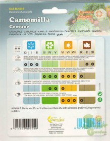 camomilla0001